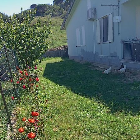 Villetta San Giovanni Калатафими Экстерьер фото